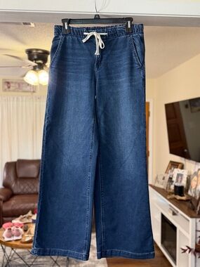 American Eagle Dreamy Drape Cozy Baggy Jeans
